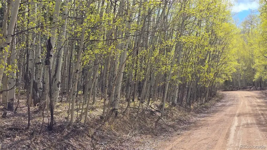 Lot 5902 Slegers Road, Fort Garland, CO 81133 - #2