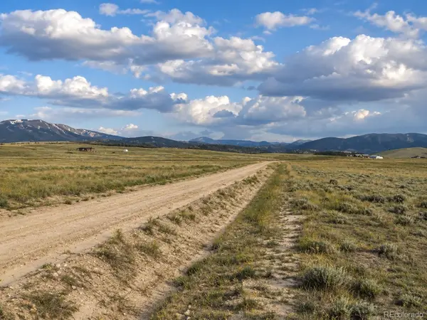 0 Salt Ranch Trail, Hartsel, CO 80449