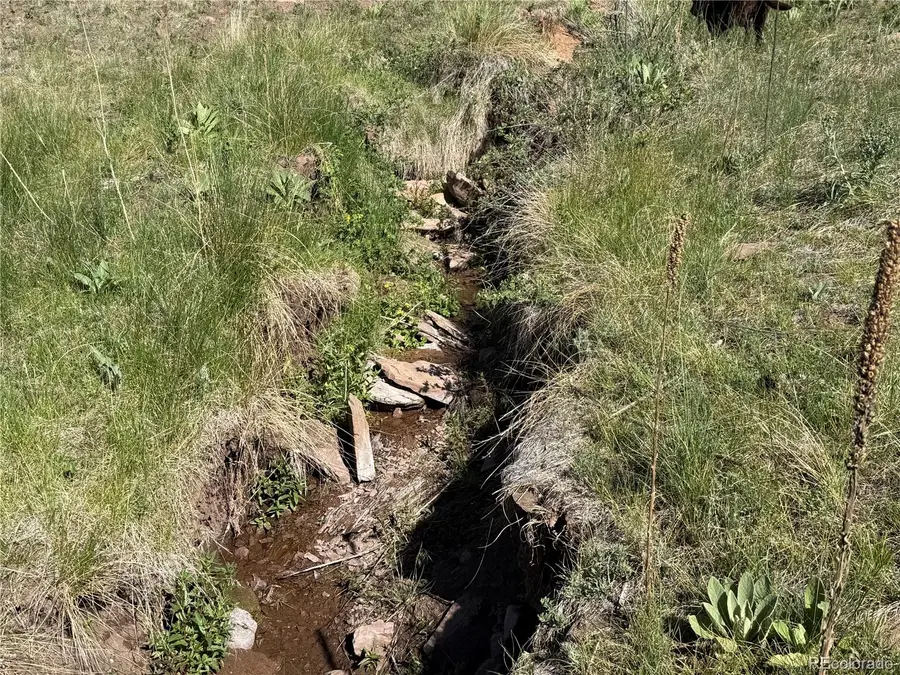 Lot 377 Powers Road, Fort Garland, CO 81133 - #3