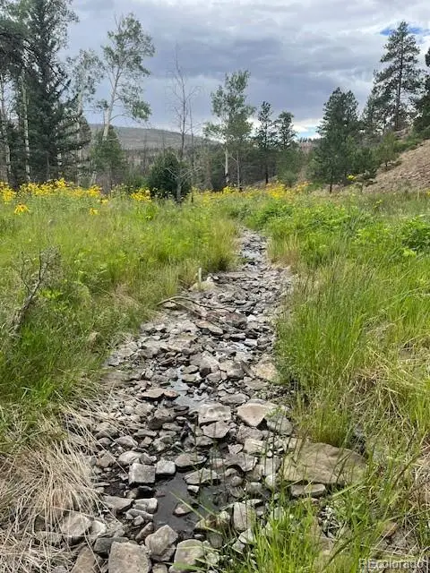 Lot 369-370 Powers Road, Fort Garland, CO 81133