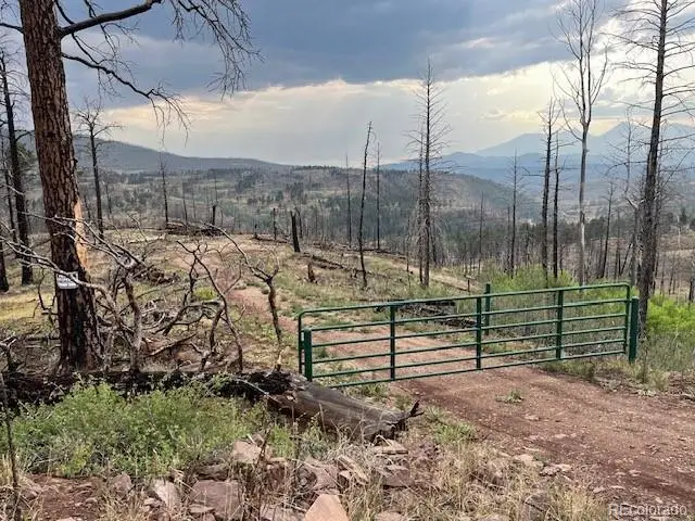 Lot 369-370 Powers Road, Fort Garland, CO 81133 - #3