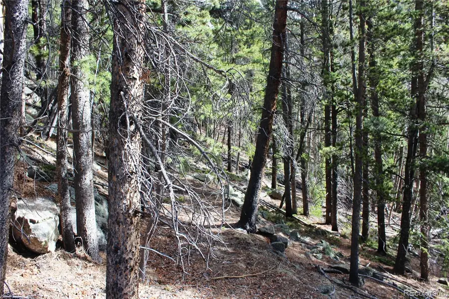 4-2 Lamertine Road, Idaho Springs, CO 80452 - #2