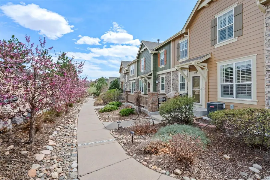 565 Hanging Rock Place, Castle Rock, CO 80108 - #2