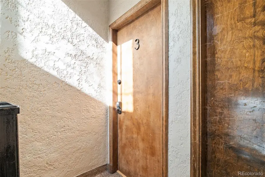 1410 Vine Street #3, Denver, CO 80206 - #2
