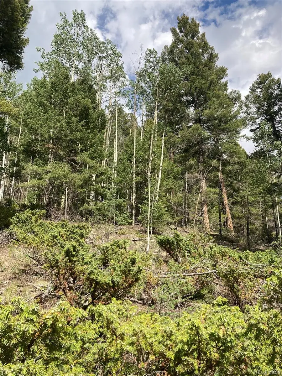 LOT 6461 Jacquez Road, San Luis, CO 81152 - #2
