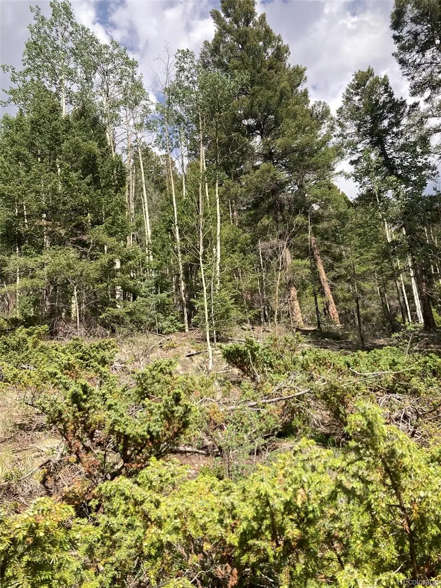 LOT 6461 Jacquez Road, San Luis, CO 81152 - #3