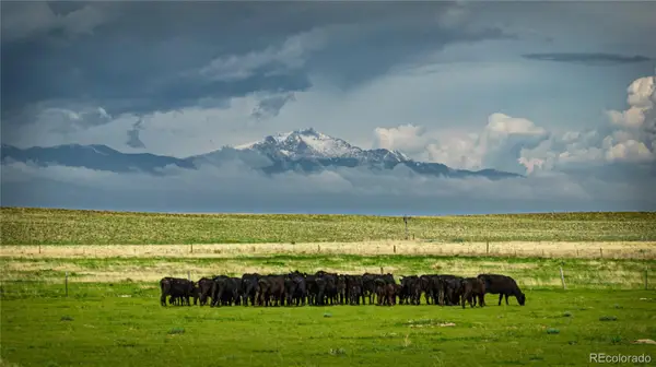 Squirrel Creek Road, Colorado Springs, CO 80928