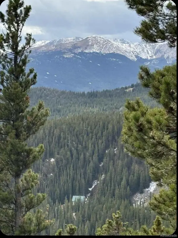 491 Hilltop, Idaho Springs, CO 80452