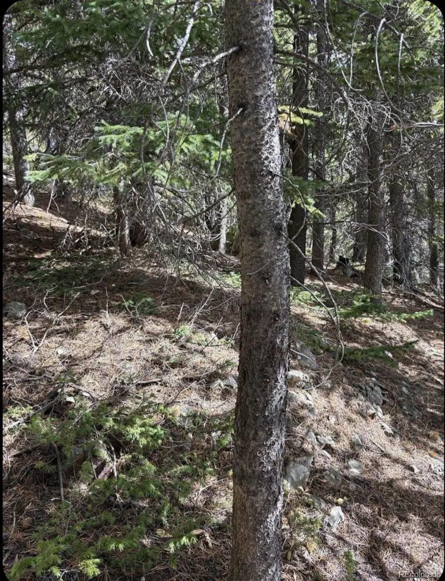 491 Hilltop, Idaho Springs, CO 80452 - Image #3