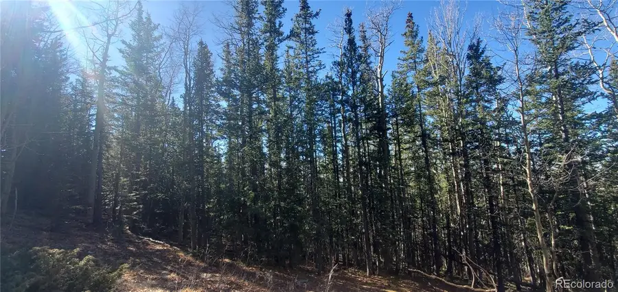 Lot 6581 Ackerman Road, Fort Garland, CO 81133 - Image #3