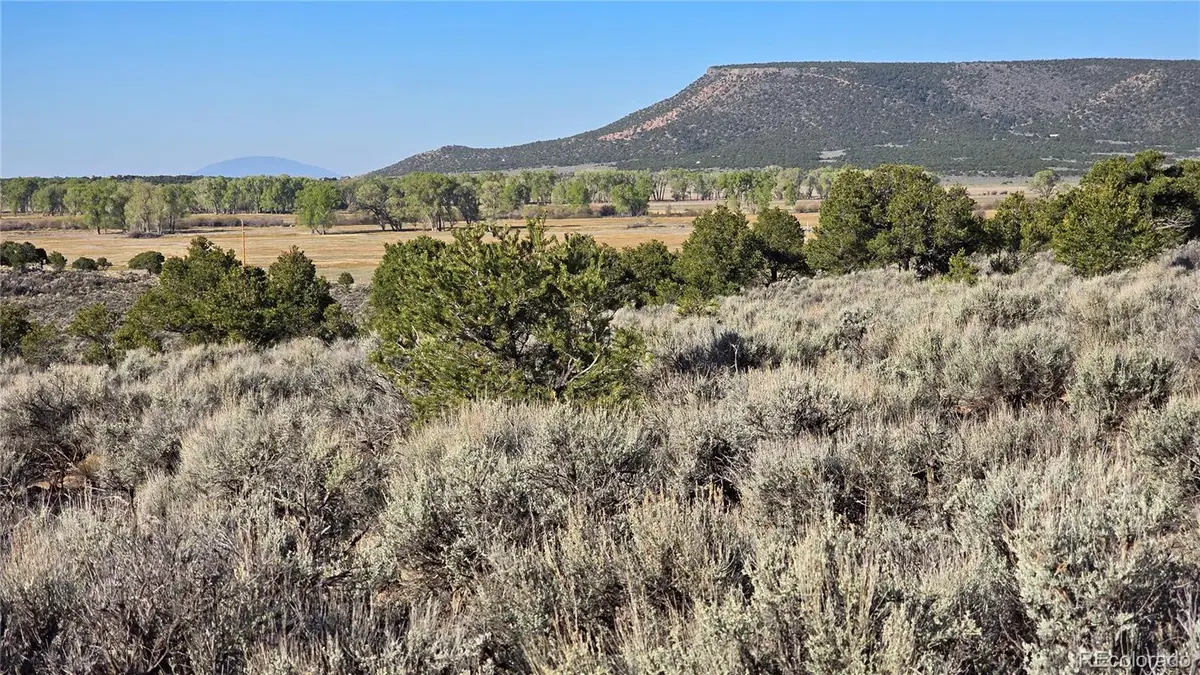 Lot 3714 Hartgrave Road, Fort Garland, CO 81133 - #1