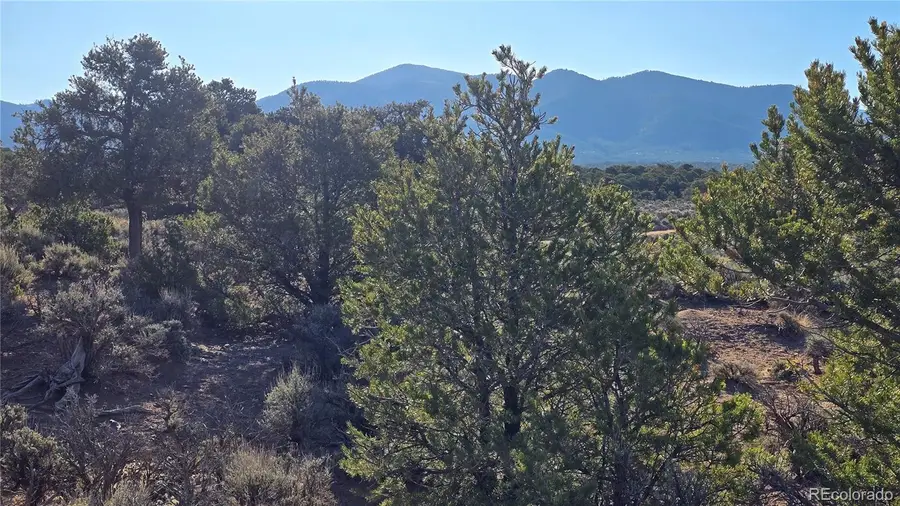 Lot 3714 Hartgrave Road, Fort Garland, CO 81133 - #2