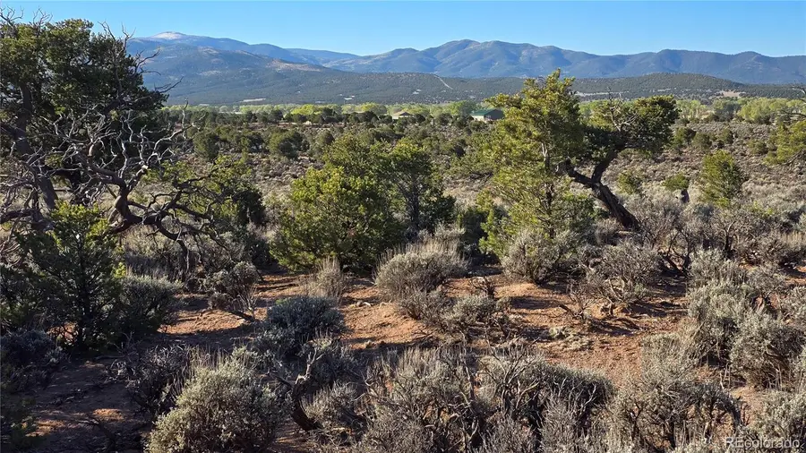 Lot 3714 Hartgrave Road, Fort Garland, CO 81133 - #3