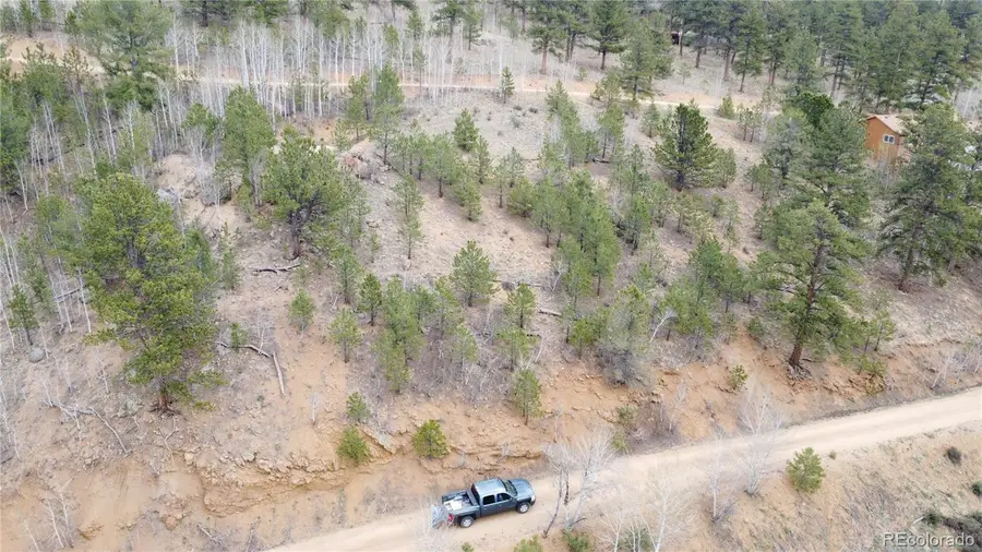 397 Neish Street, Bailey, CO 80421 - #2