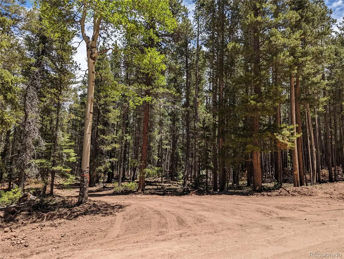 2905 Forbes Park Loop, Fort Garland, CO 81133 - #1