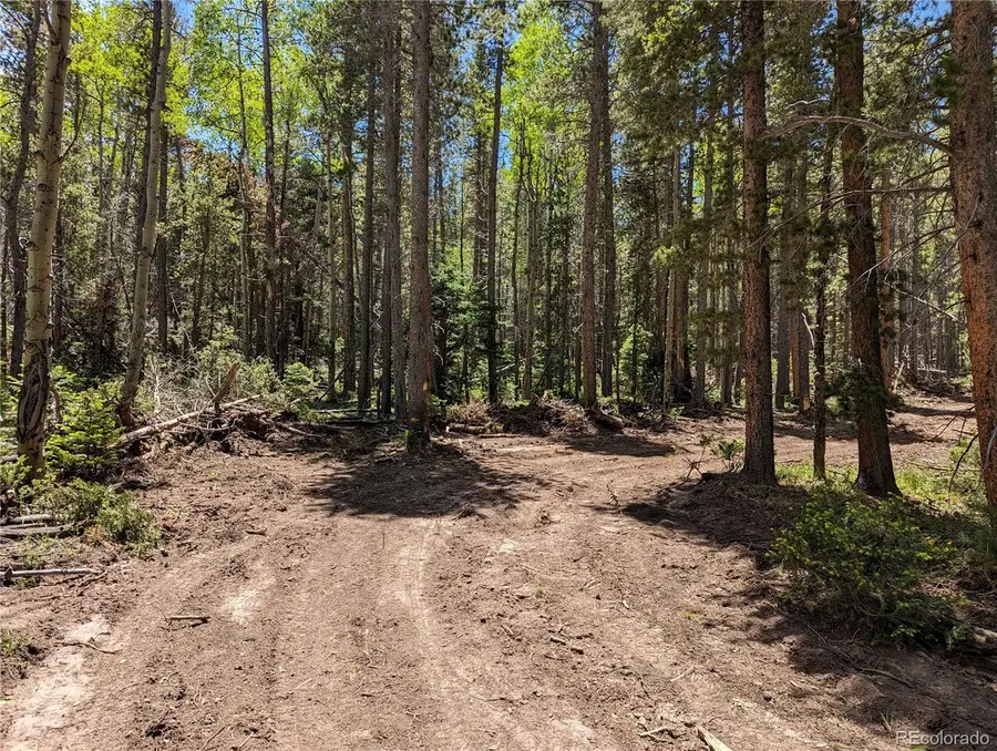 2905 Forbes Park Loop, Fort Garland, CO 81133 - #2