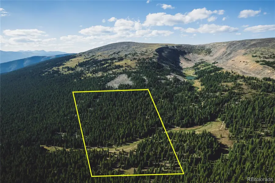 5347 Monitor, Leadville, CO 80461 - #2