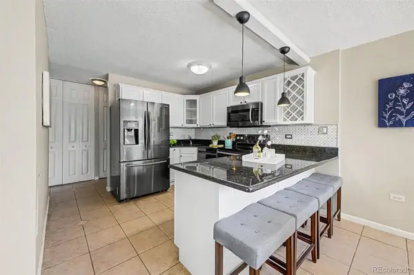 909 N Logan Street #2A, Denver, CO 80203