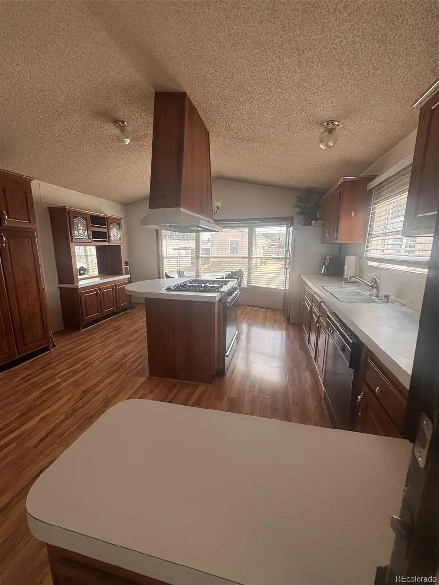 19 Darren Street, Castle Rock, CO 80109 - #2