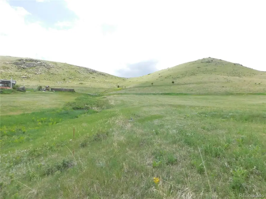 11972 Haskel Creek Road, Larkspur, CO 80118 - #3