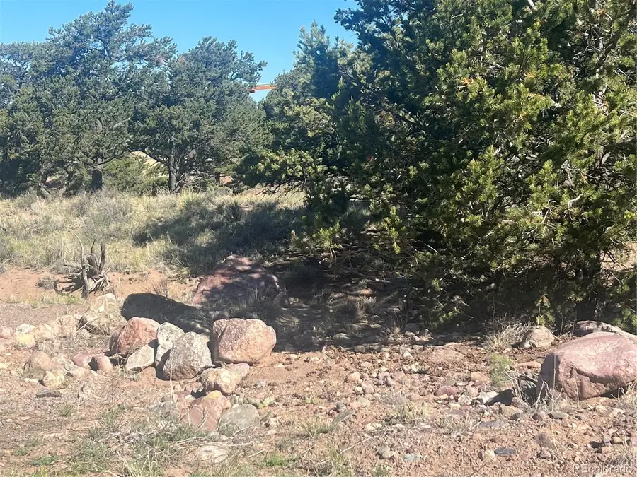 286 Palomino Way, Crestone, CO 81131 - #3
