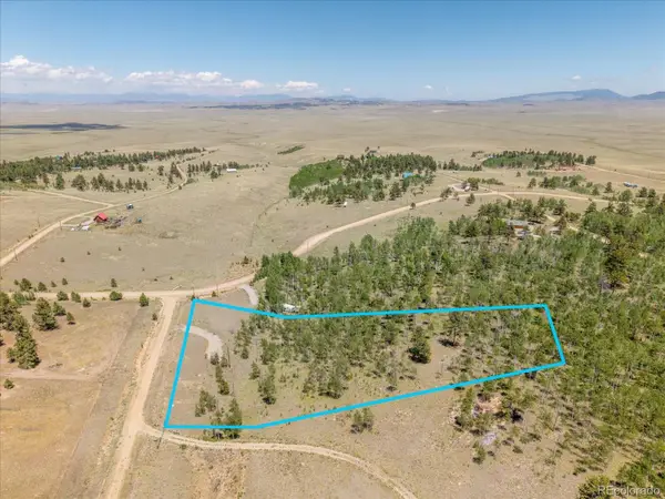 40 Brahma Court, Hartsel, CO 80449