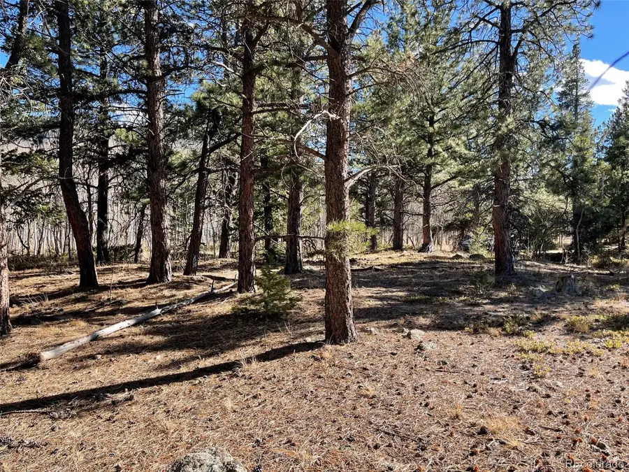 480 Creekwood Trail, Black Hawk, CO 80422 - Image #2