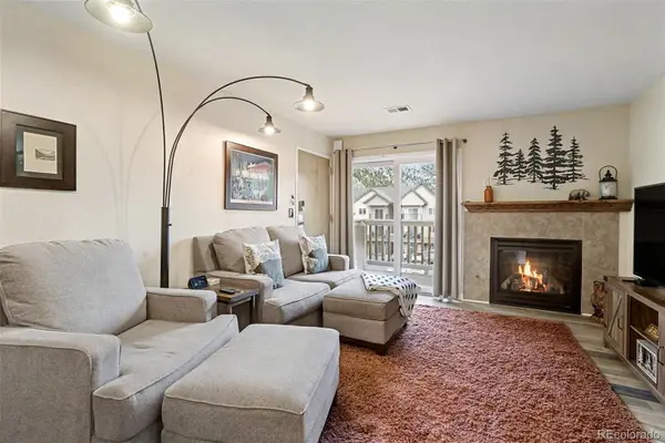 1890 Argentine Street #D304, Georgetown, CO 80444