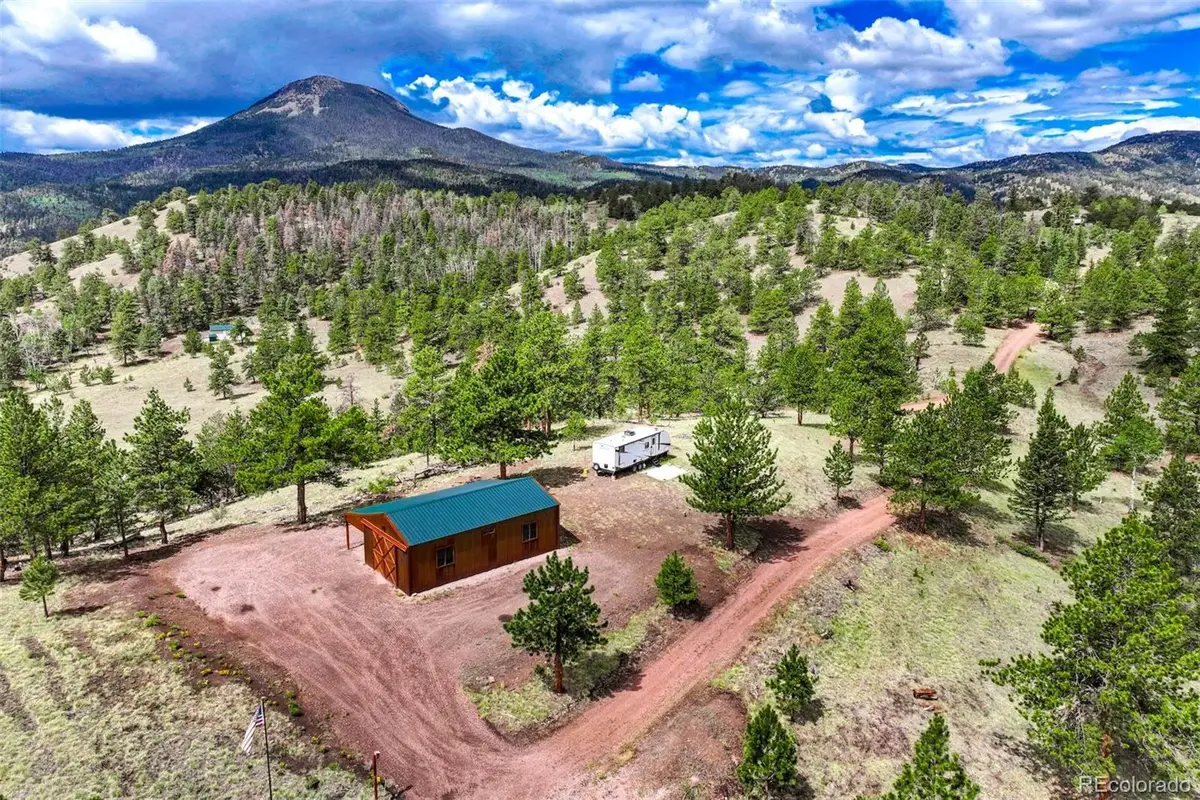 75 Deer Run, Guffey, CO 80820 - #1