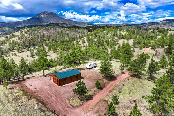 75 Deer Run, Guffey, CO 80820