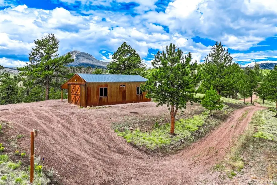 75 Deer Run, Guffey, CO 80820 - #3