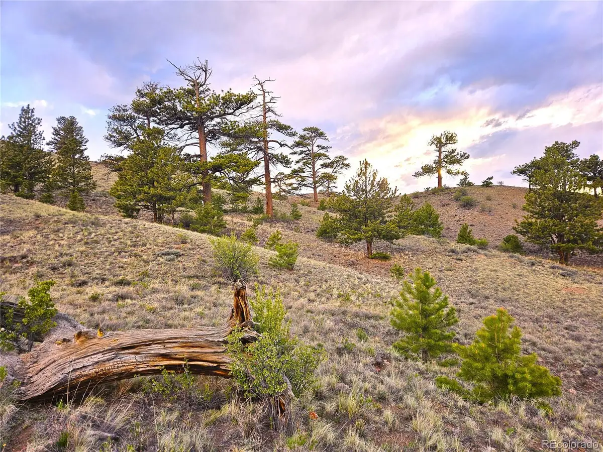 PCS#25427 Yuma Road, Hartsel, CO 80449 - #1