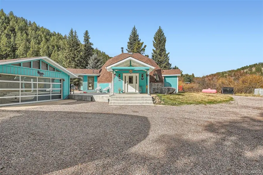 55 Iron Horse Lane, Bailey, CO 80421 - #2