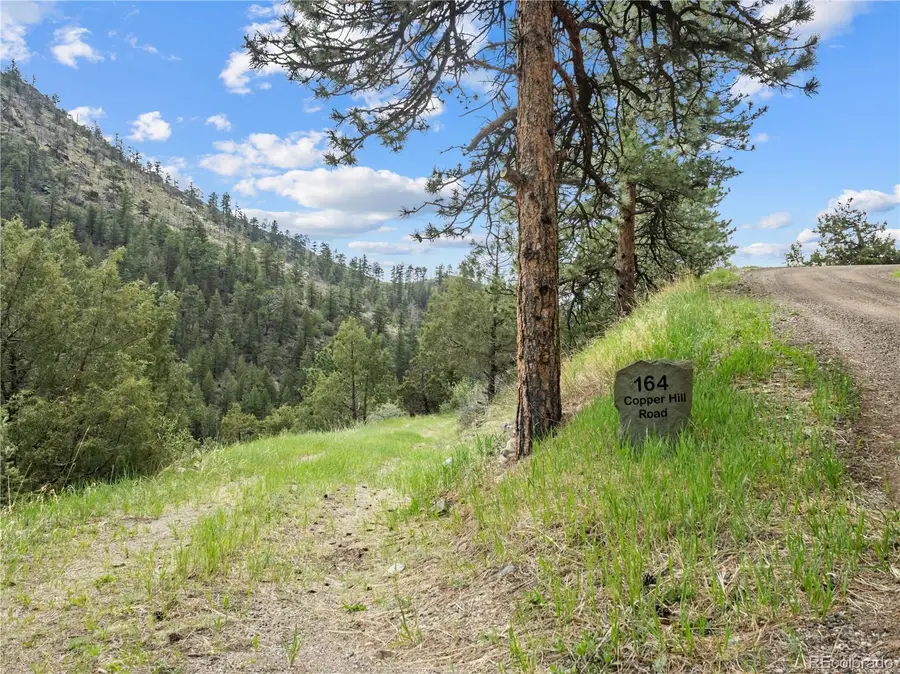 164 Copper Hill Road, Glen Haven, CO 80532 - #3