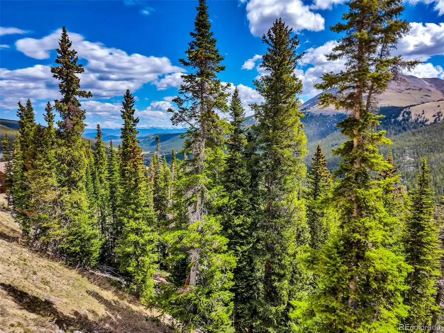 105 & 71 Quandary View Ln, Breckenridge, CO 80424 - #3