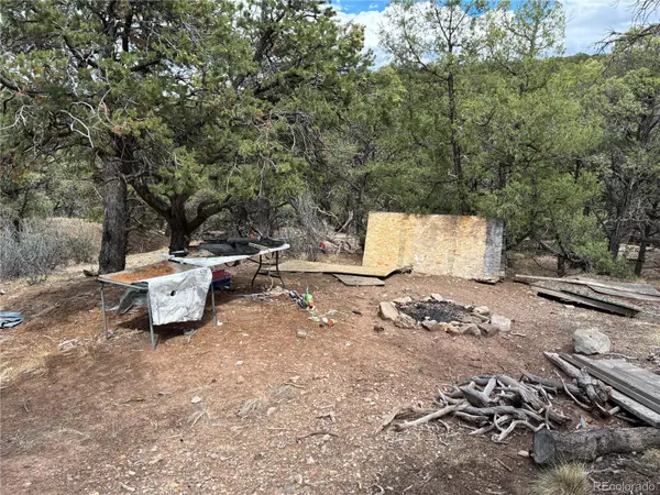 LOT 7908 Blaine Road, Fort Garland, CO 81133