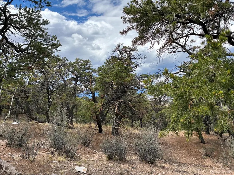 LOT 7908 Blaine Road, Fort Garland, CO 81133 - #2