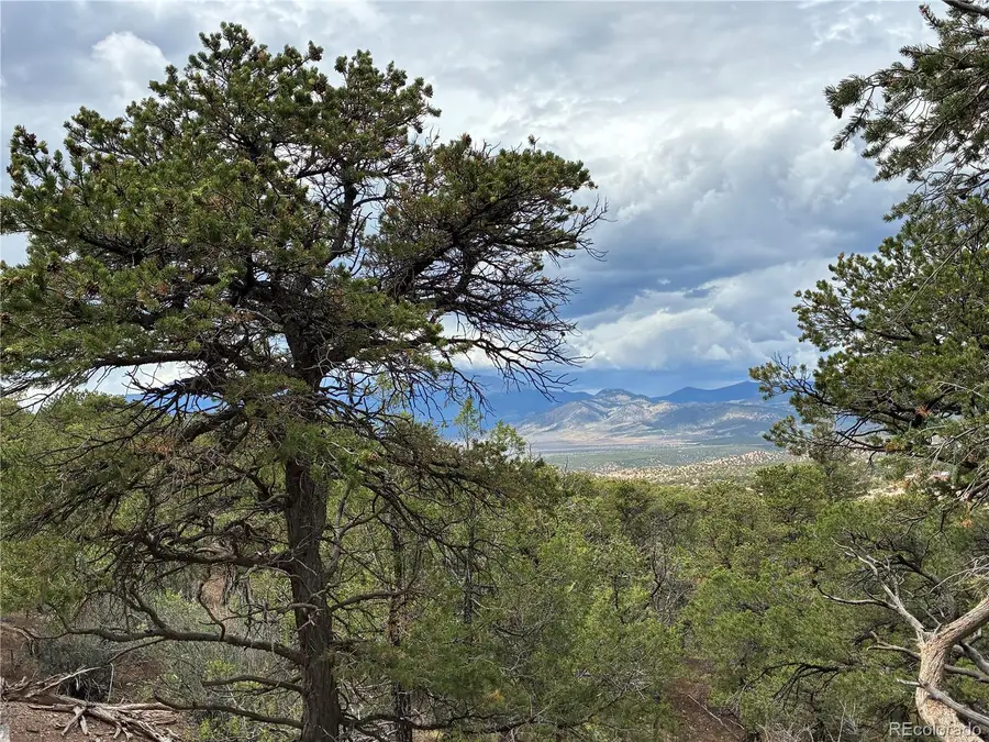 LOT 7908 Blaine Road, Fort Garland, CO 81133 - #3