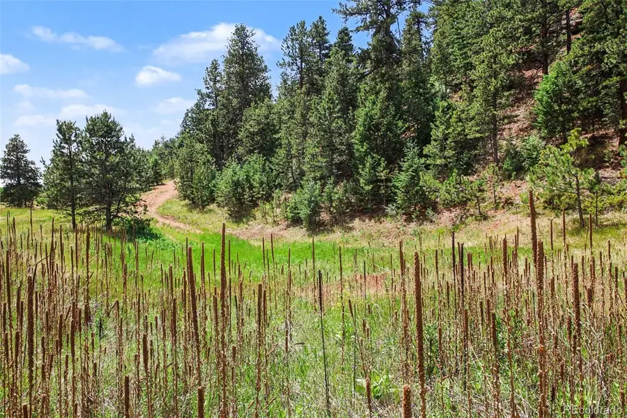 10905 W Highway 24, Green Mountain Falls, CO 80819 - #3
