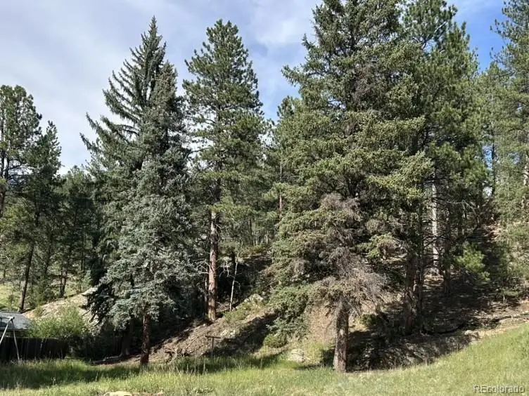 5190 Country Road 73, Evergreen, CO 80439 - #1