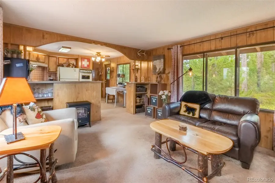 345 County Road 4624, Grand Lake, CO 80447 - #3