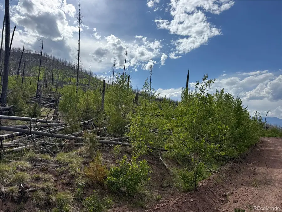 Lot 1997 Strauss Lane, Fort Garland, CO 81133 - #2