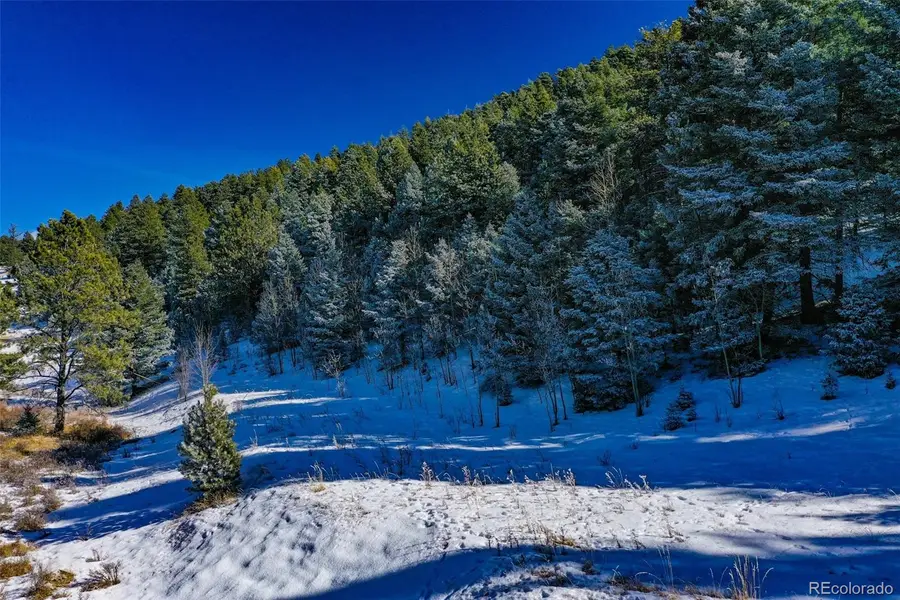 278 Penrose Circle, Florissant, CO 80816 - #3