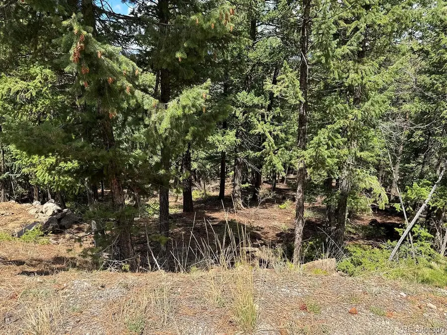 Liberty Drive, Evergreen, CO 80439 - #2