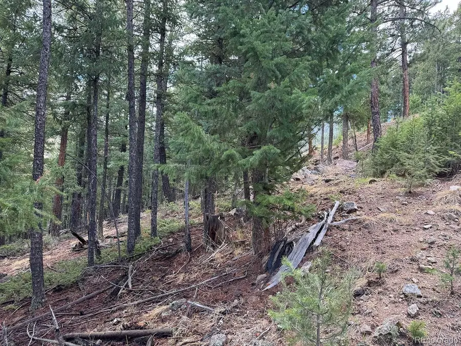 Liberty Drive, Evergreen, CO 80439 - #3