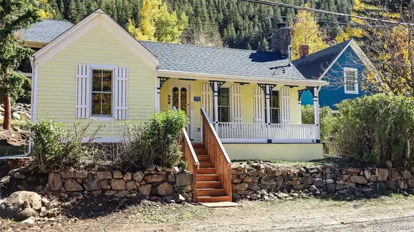 906 Main Street, Georgetown, CO 80444