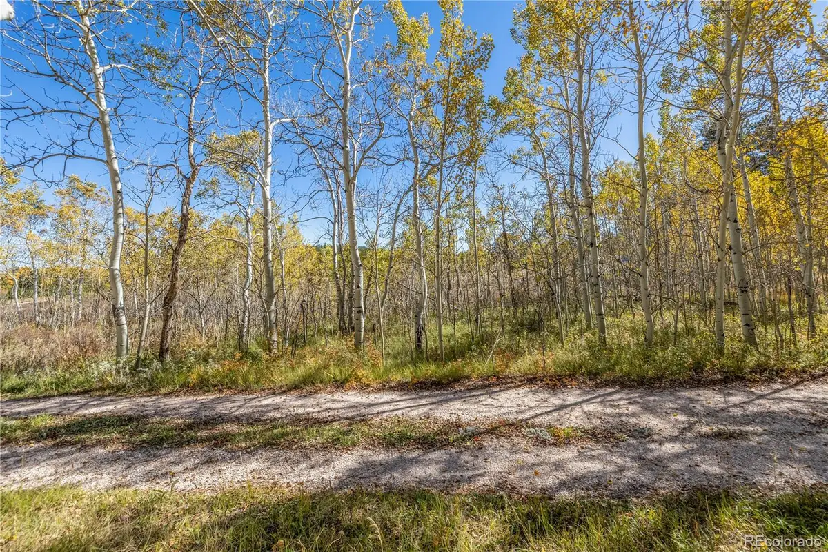 Lot 2a & 2b, Red Feather Lakes, CO 80545 - #1