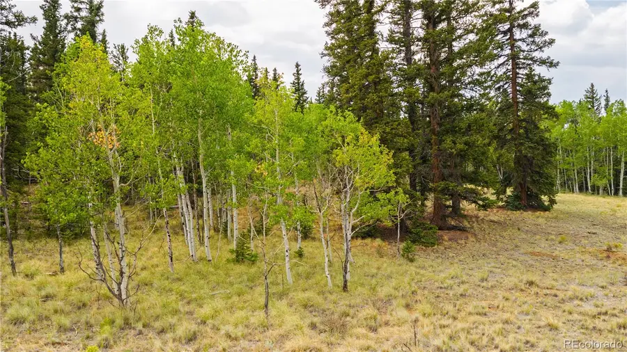 811 S Quarter Horse Road, Como, CO 80432 - #3