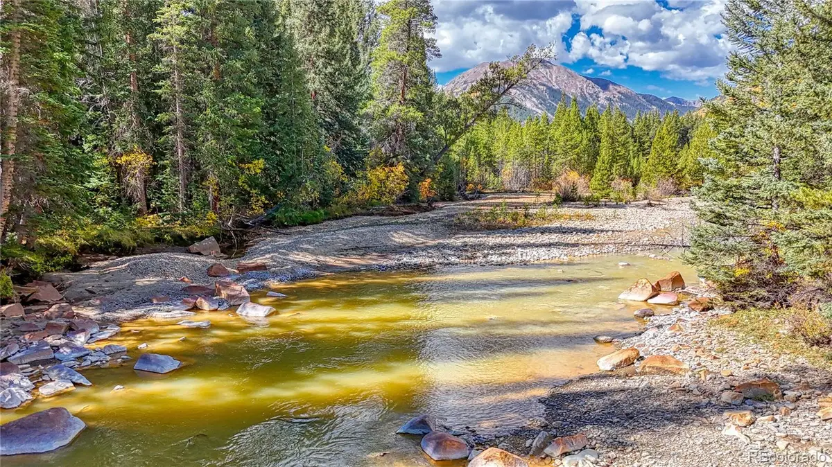 Tbd Highway 82, Twin Lakes, CO 81251 - #1