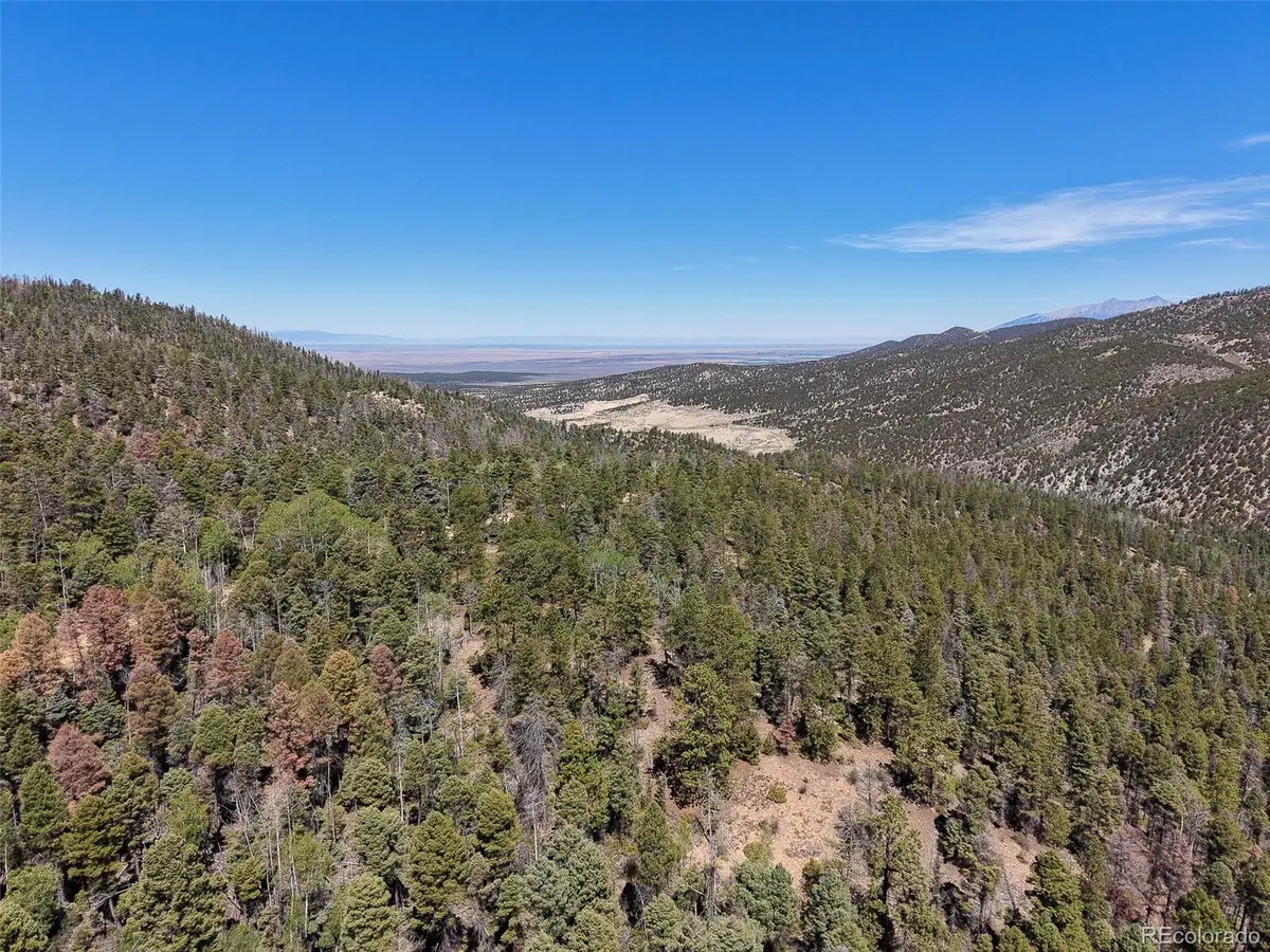 6031 Bruce Road, Fort Garland, CO 81133 - #1